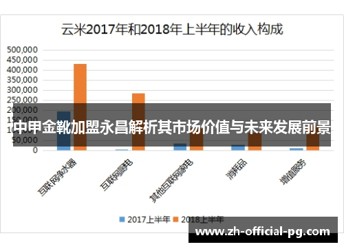 中甲金靴加盟永昌解析其市场价值与未来发展前景