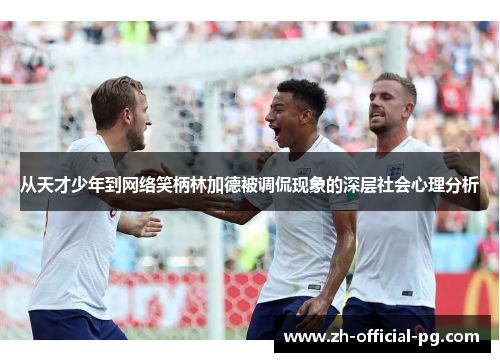 从天才少年到网络笑柄林加德被调侃现象的深层社会心理分析 从天才少年到网络笑柄林加德被调侃现象的深层社会心理分析