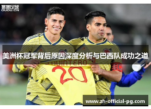 美洲杯冠军背后原因深度分析与巴西队成功之道