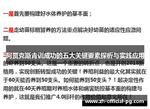 阿贾克斯青训成功的五大关键要素探析与实践应用