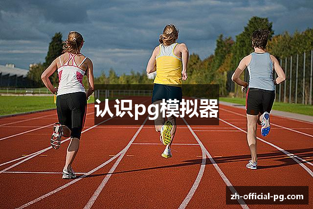 认识pg模拟器